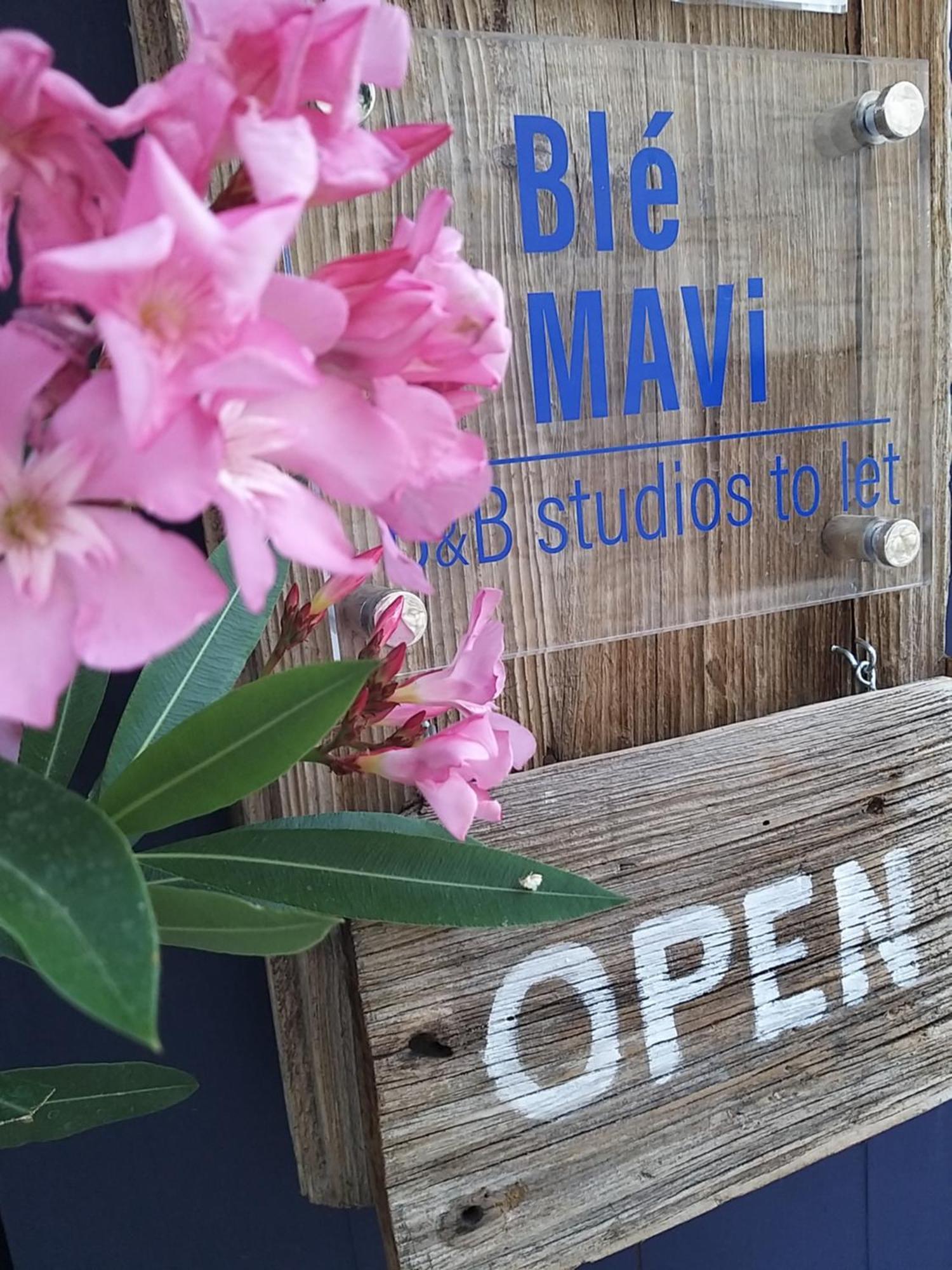 Ble Mavi - Studio For 2 (Adults Only) Omodos Room photo