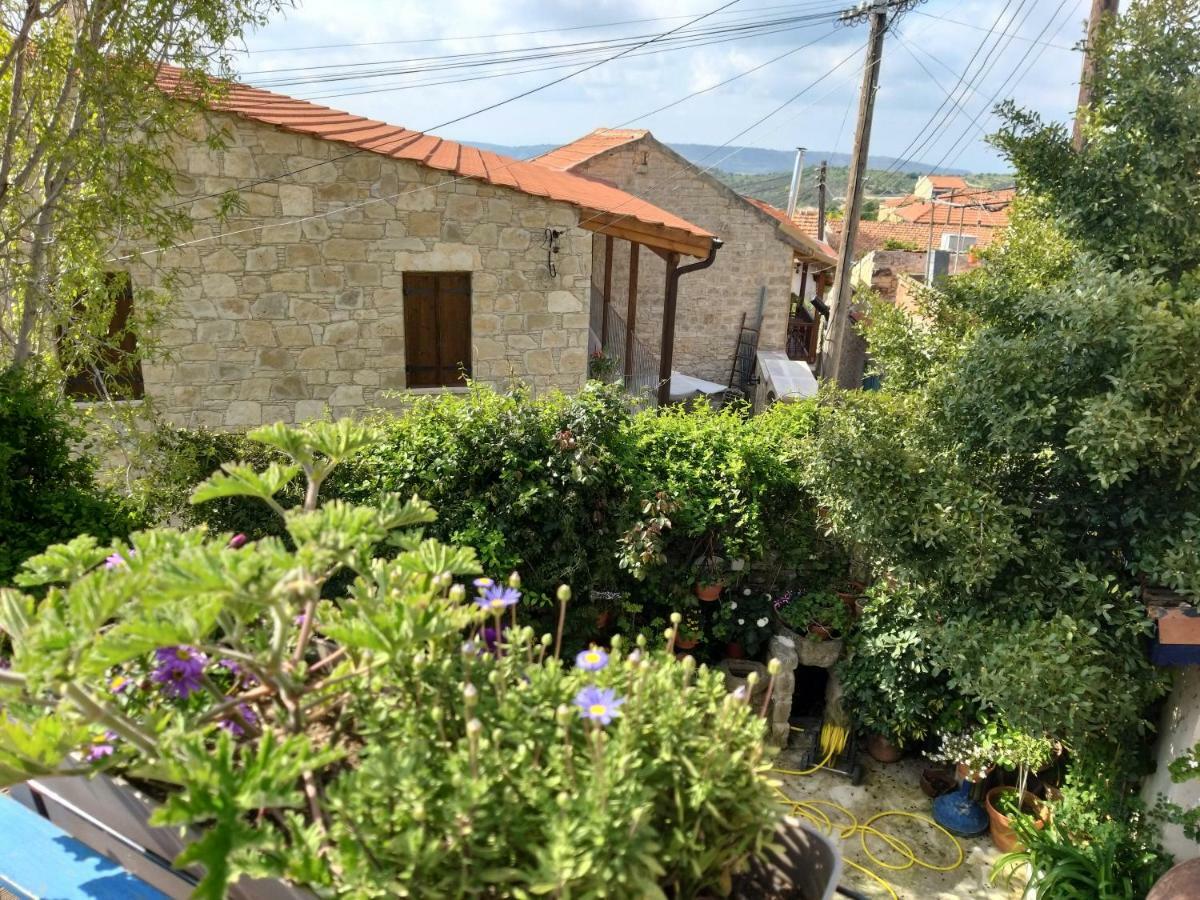 Ble Mavi - Studio For 2 (Adults Only) Omodos Exterior photo
