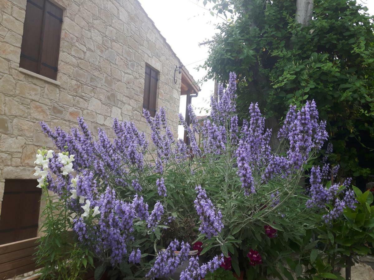 Ble Mavi - Studio For 2 (Adults Only) Omodos Exterior photo